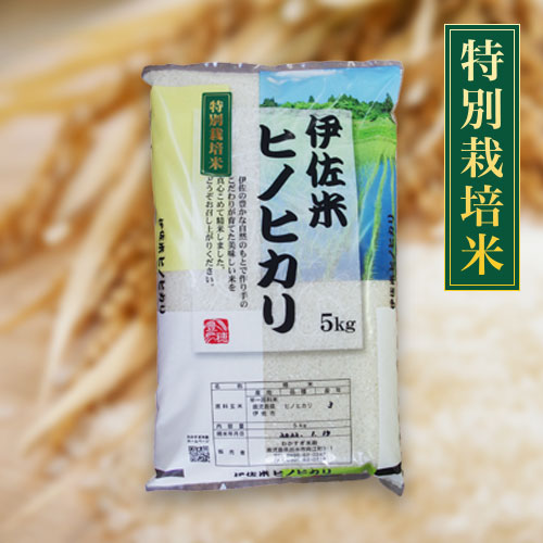 鹿児島県伊佐産特別栽培米ヒノヒカリ